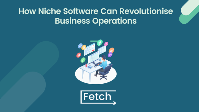 niche software for business improvements